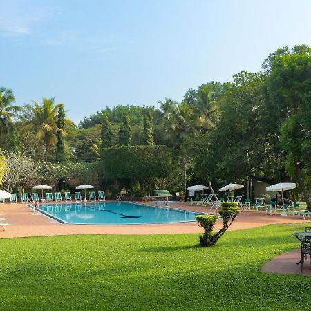 Tamarind Tree Garden Resort - Katunayake Negombo Ngoại thất bức ảnh
