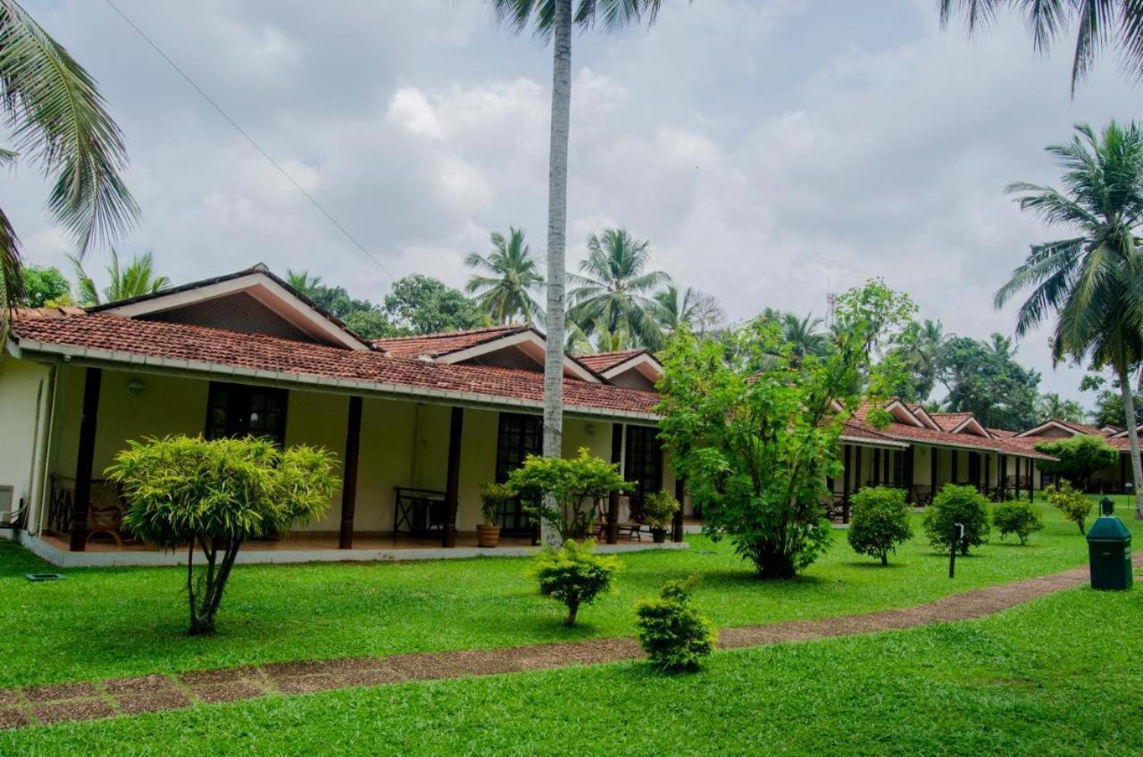 Tamarind Tree Garden Resort - Katunayake Negombo Ngoại thất bức ảnh