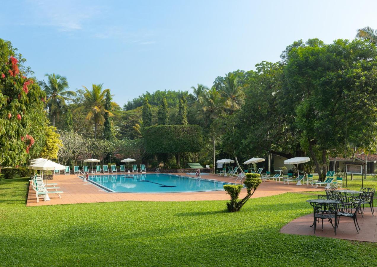 Tamarind Tree Garden Resort - Katunayake Negombo Ngoại thất bức ảnh